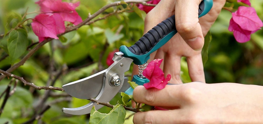 Tools Bretelle da uomo Brimarc giardinaggio attrezzi da giardino design Heavy Duty 5,1 cm 50 mm largo verde m.k
